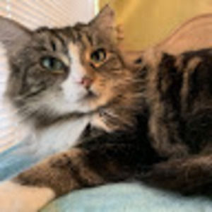 Meet your Posher, Yvonne